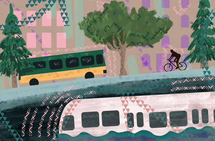 Transportation spectator