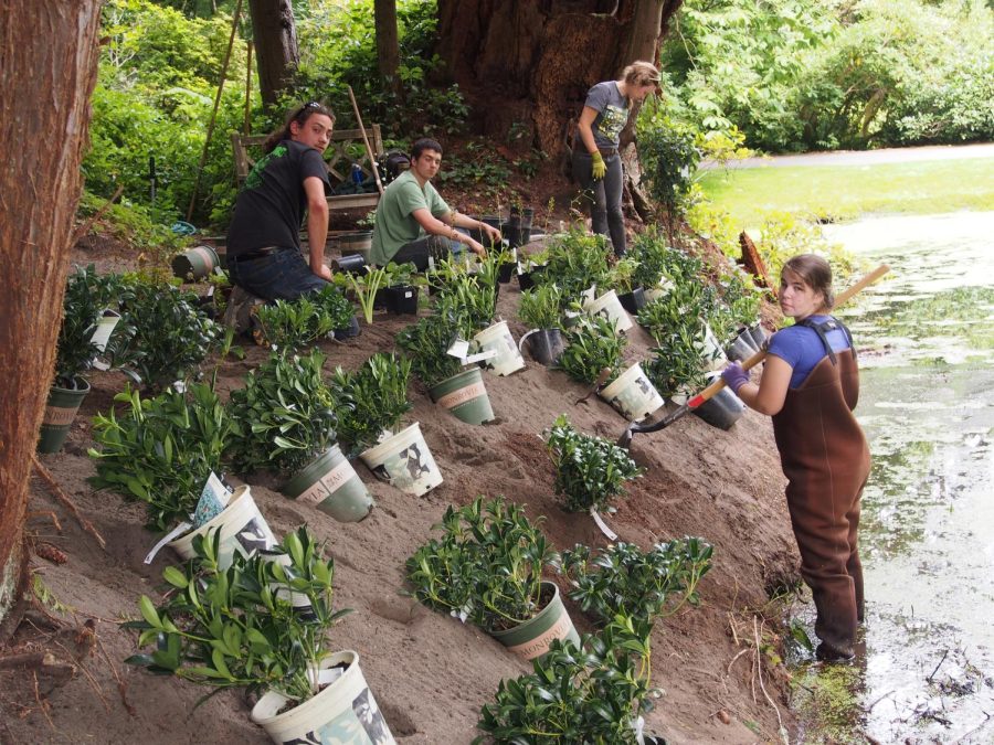 Image courtesy of Bloedel Reserve.